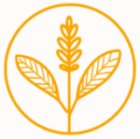 logo remedio natural blog